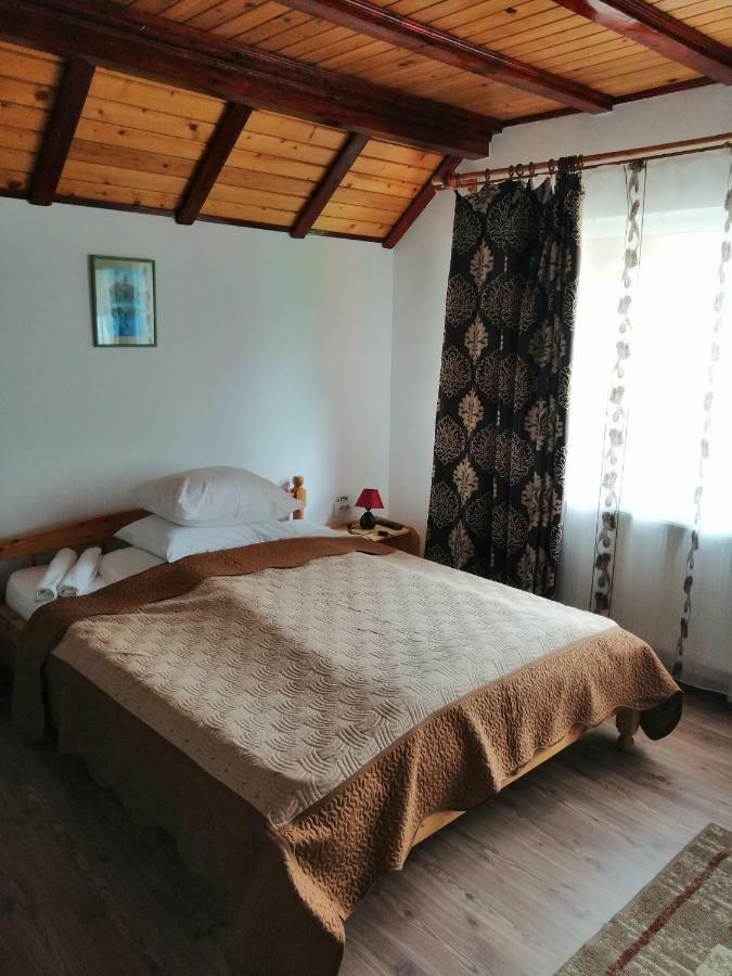Casa Ddm Daniel Hotell Buşteni Eksteriør bilde