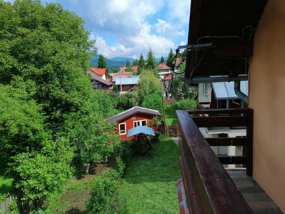 Casa Ddm Daniel Hotell Buşteni Eksteriør bilde