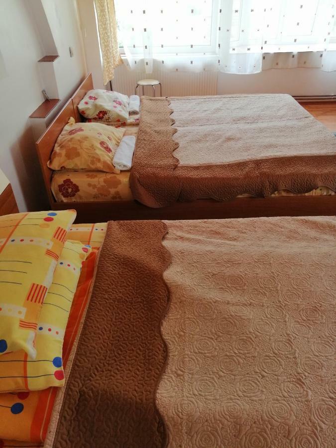Casa Ddm Daniel Hotell Buşteni Eksteriør bilde